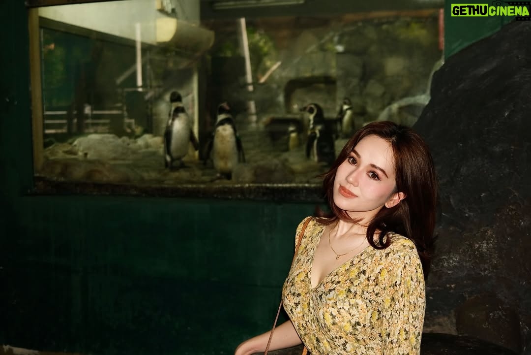 Sophia Albarakbah - 11.5K Likes - Revisiting the zoo after 13 years. Nothing much changed, but it got better.