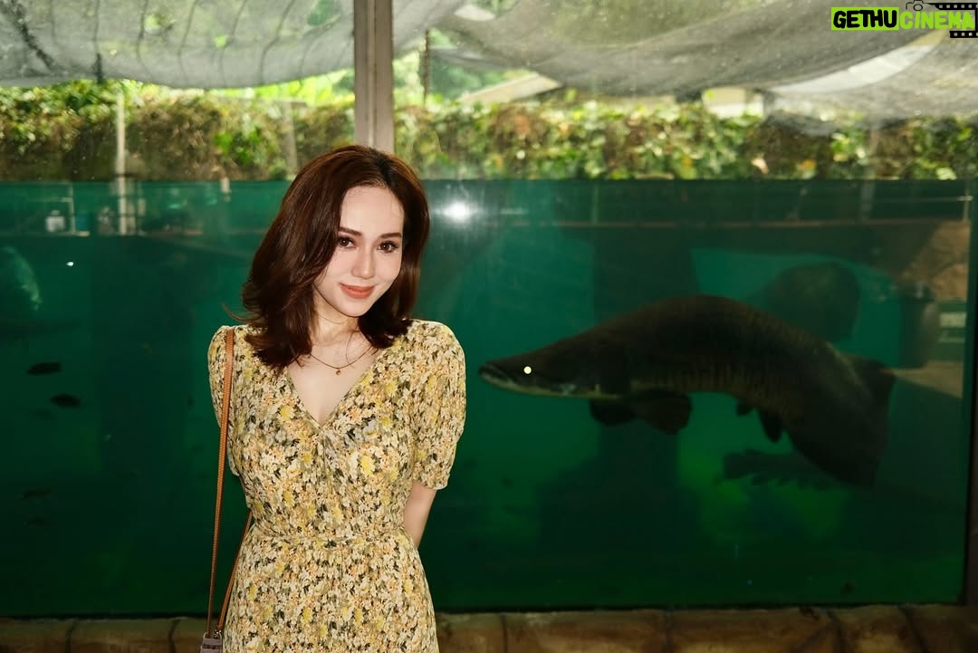Sophia Albarakbah - 11.5K Likes - Revisiting the zoo after 13 years. Nothing much changed, but it got better.