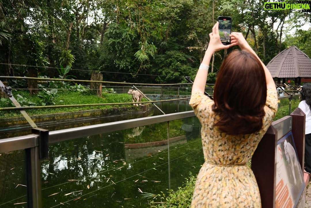 Sophia Albarakbah - 11.5K Likes - Revisiting the zoo after 13 years. Nothing much changed, but it got better.