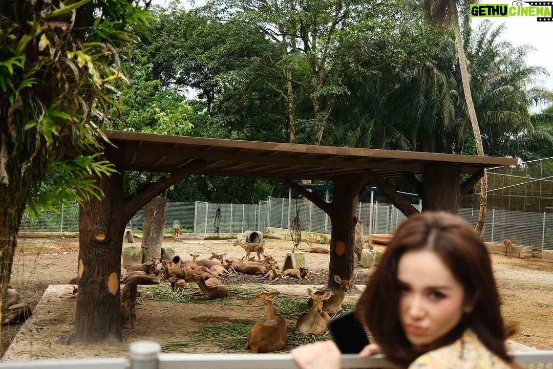Sophia Albarakbah - 11.5K Likes - Revisiting the zoo after 13 years. Nothing much changed, but it got better.