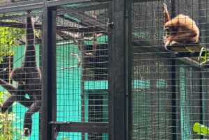Sophia Albarakbah Instagram - Revisiting the zoo after 13 years. Nothing much changed, but it got better.