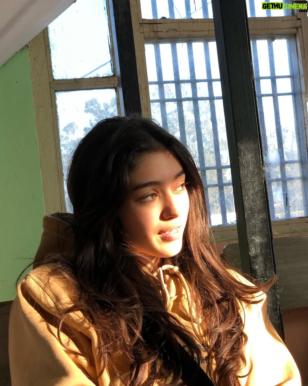 Srishte Kalia - 14.2K Likes - Pic dump with a pretty sunlight 🌤️🪐

#thegirlfromhimachal 
#instagram #instagood #instadaily #instalike #instaphoto #instafashion #instapost #post #picturedump #candid #random #instafeed #exploremore #explorepage #explore #explorepage✨ #trending #trend #trendy #foryou #foryoupage #foryoupage