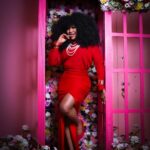 Stella Damasus