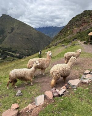 Stephania Duque Instagram - Perú
❤️🤍❤️