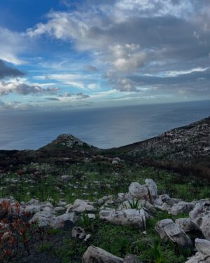Stephanie Ndlovu Instagram - Chat GPT “Best hiking trails around my current location” ⛰️🥾
Just a few months ago, I’d probably be asking for the best restaurants, the popular touristy spots or best spa’s in the area. Ah- how things have changed😂
Loved my recent chat with @mpoomy_ledwaba on how hiking has helped me move forward and the life lessons it has taught me. Check it out on her YouTube channel.🌸
Side Note: Cape Town is 100% a hikers paradise (tempting 😏)