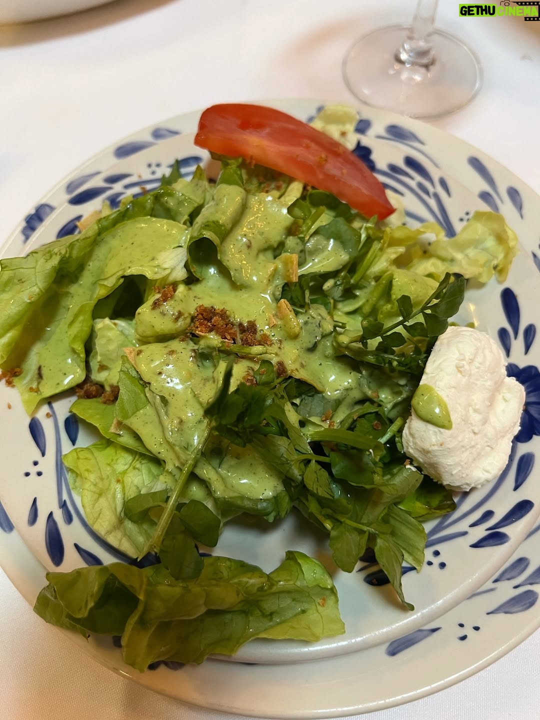 Stephanie Salas - 4.7K Likes - Es un must de verano en cdmx visitar el emblemático restaurante #sanangelinn 
“Una hacienda Colonial” que se inauguró en 1963, cuyo objetivo fué preservar la gastronomía Mexicana🇲🇽 
Adoro este emblematico spot… principalmente por que conserva el recuerdo familiar de mi abuela doña #silviapinal ⭐️ con quien vivimos los mejores momentos disfrutando de las delicias de su Mexico querido✨
Hoy en día pensando en ella✨ me gusta sentarme a la mesa y descorchar un buen vino blanco… empezar con una excelente ensalada Hacienda 🥗 y como plato fuerte, Robalo al vino con alcachofas.
@salas_chef 
#stephaniesalasphoto📷 
#stephaniesalas 
#mesonlouislatour
#mexico 
#sanangel 
#vinoblanco 
#buenamesa 
#gourmet