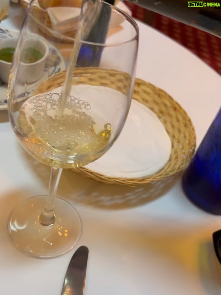 Stephanie Salas - 4.7K Likes - Es un must de verano en cdmx visitar el emblemático restaurante #sanangelinn 
“Una hacienda Colonial” que se inauguró en 1963, cuyo objetivo fué preservar la gastronomía Mexicana🇲🇽 
Adoro este emblematico spot… principalmente por que conserva el recuerdo familiar de mi abuela doña #silviapinal ⭐️ con quien vivimos los mejores momentos disfrutando de las delicias de su Mexico querido✨
Hoy en día pensando en ella✨ me gusta sentarme a la mesa y descorchar un buen vino blanco… empezar con una excelente ensalada Hacienda 🥗 y como plato fuerte, Robalo al vino con alcachofas.
@salas_chef 
#stephaniesalasphoto📷 
#stephaniesalas 
#mesonlouislatour
#mexico 
#sanangel 
#vinoblanco 
#buenamesa 
#gourmet