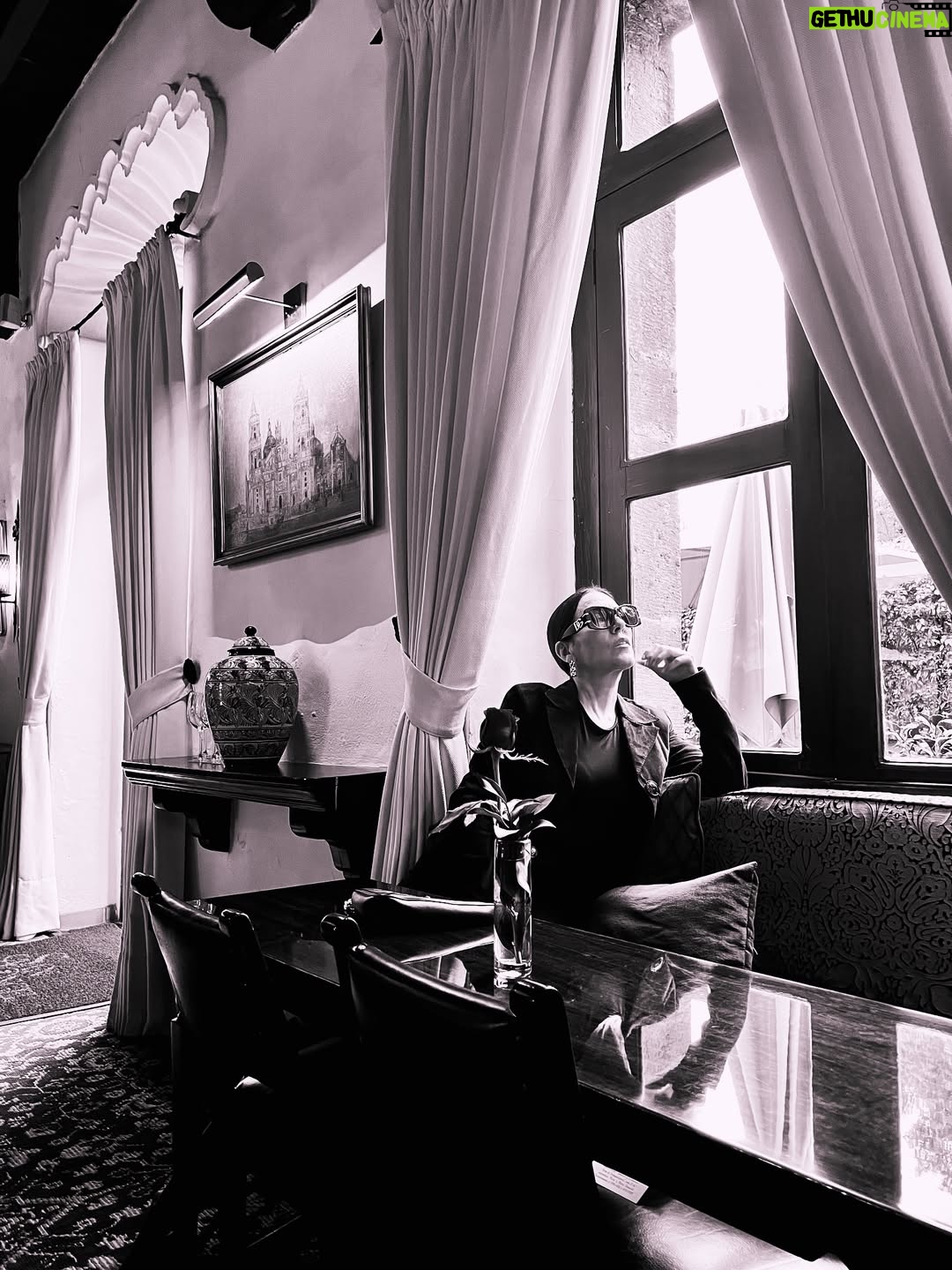 Stephanie Salas - 4.7K Likes - Es un must de verano en cdmx visitar el emblemático restaurante #sanangelinn 
“Una hacienda Colonial” que se inauguró en 1963, cuyo objetivo fué preservar la gastronomía Mexicana🇲🇽 
Adoro este emblematico spot… principalmente por que conserva el recuerdo familiar de mi abuela doña #silviapinal ⭐️ con quien vivimos los mejores momentos disfrutando de las delicias de su Mexico querido✨
Hoy en día pensando en ella✨ me gusta sentarme a la mesa y descorchar un buen vino blanco… empezar con una excelente ensalada Hacienda 🥗 y como plato fuerte, Robalo al vino con alcachofas.
@salas_chef 
#stephaniesalasphoto📷 
#stephaniesalas 
#mesonlouislatour
#mexico 
#sanangel 
#vinoblanco 
#buenamesa 
#gourmet