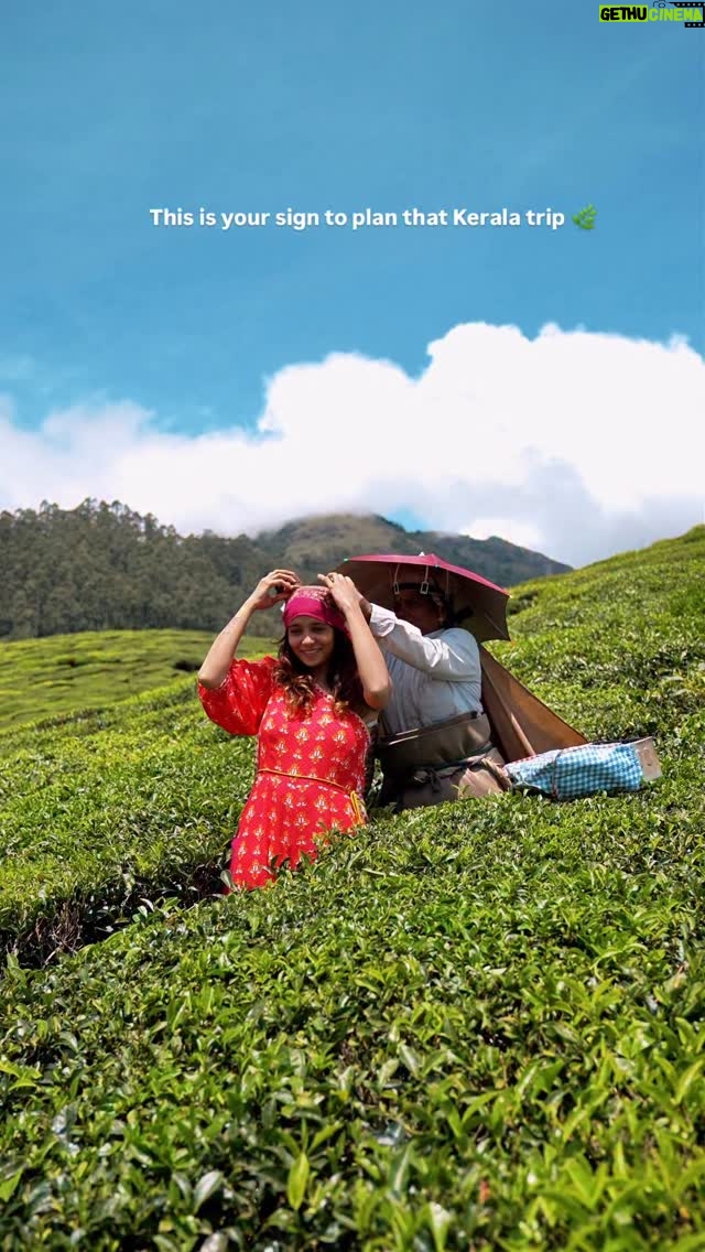 Suman Kothari - 7.9K Likes - Kerala ❣️❣️❣️❣️❣️
.
.
#kerala#travel#greenary#beauty