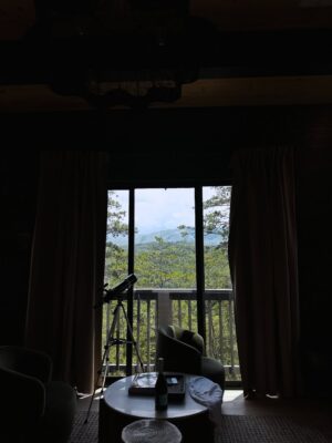 Sunaina Bhagi Instagram - Sahiba reporting live from cloud nine 🥂✨ Currently accepting champagne and compliments only 💁🏽♀️ #SelfCareQueen #MorningMood #BubblyInBed
📍 @stellararesort
Gatlingburg TN
#tennessee #gatlingburg #vacaymode