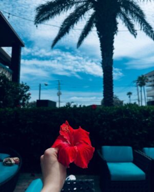 Sunaina Bhagi Instagram - Palm trees & 80 degrees 🏝️🌝
Search my favorite shop- 💙Aveloria Rosie💙on @sheinofficial @shein_us with my coupon code QSSunaina (extra 15% off) and follow-it for the latest drops.
#SHEINtrends #SHEINforall #saveinstyle #loveshein #ad #sheinsummer #sheinpartner #sheingals #sheinus #aveloriarosie
