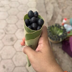 Surbhi Sikri Instagram - कर्ता करे ना कर सके, शिव करे सो होए 
तीन लोक नौ खंड में, महाकाल से बढ़ा ना कोए ॥