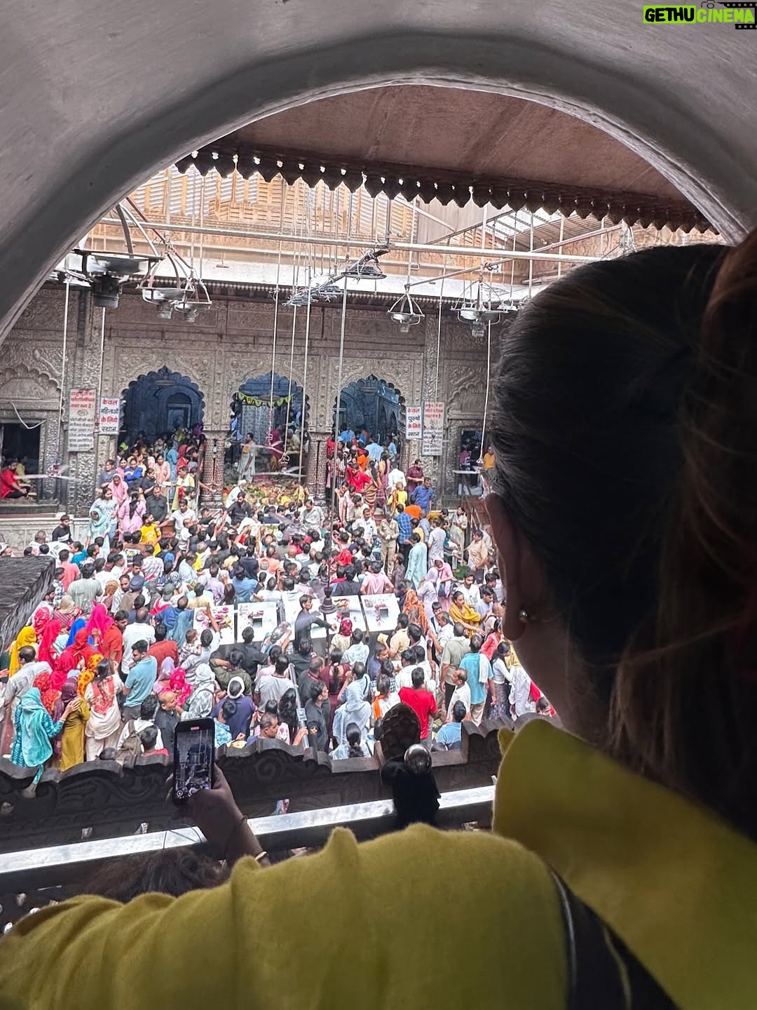 Swasti Mehul Jain - 271.4K Likes - Jab bhi Shri Banke Bihari ji ke darbar me pahuchti hu, bas fir lautne ka man nahi karta 😇 Kuch to baat hai, jo sirf mehsoos ki jaa sakti hai, batai aur likhi nahi jaa sakti.. 😍🦚
Vrindavan ke har kan me prem hai, bas prem.. 
Har mukh par Radhe Radhe hai.. 

#vrindavan #bankebihari #bankebiharitemple #radheradhe #krishnalove #krishnajanmashtami #janmashtami #swastimehul