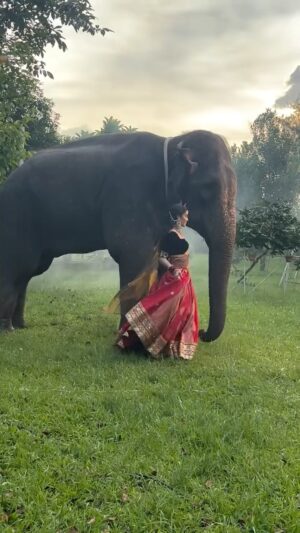 Tangia Zaman Methila Instagram - “During this shoot, something unexpected happened—I connected soul to soul with this gentle giant. In her eyes, I found peace, wisdom, and love beyond words. This wasn’t just a moment on camera—it was a moment etched in my heart forever. My love for animals runs deep 🫠🫶🏻