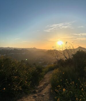 Tangia Zaman Methila Instagram - Caught golden hour after the hike — nothing beats a sunset in the heart of nature. 🌄🌿 #SunsetHike” #losangelas #nature