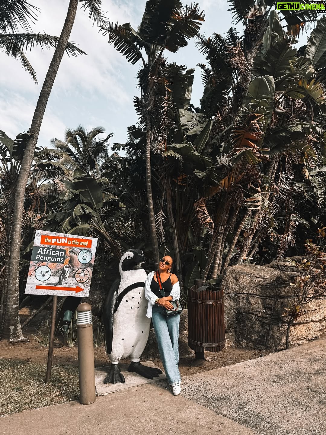 Thando Thabethe - 51.1K Likes - Bday Dump ♥️♥️♥️