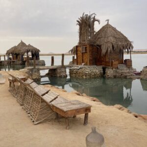 Tharaa Goubail Instagram - My beautiful Siwa 💙