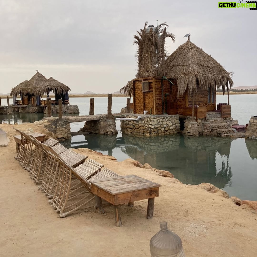 Tharaa Goubail - 16.5K Likes - My beautiful Siwa 💙