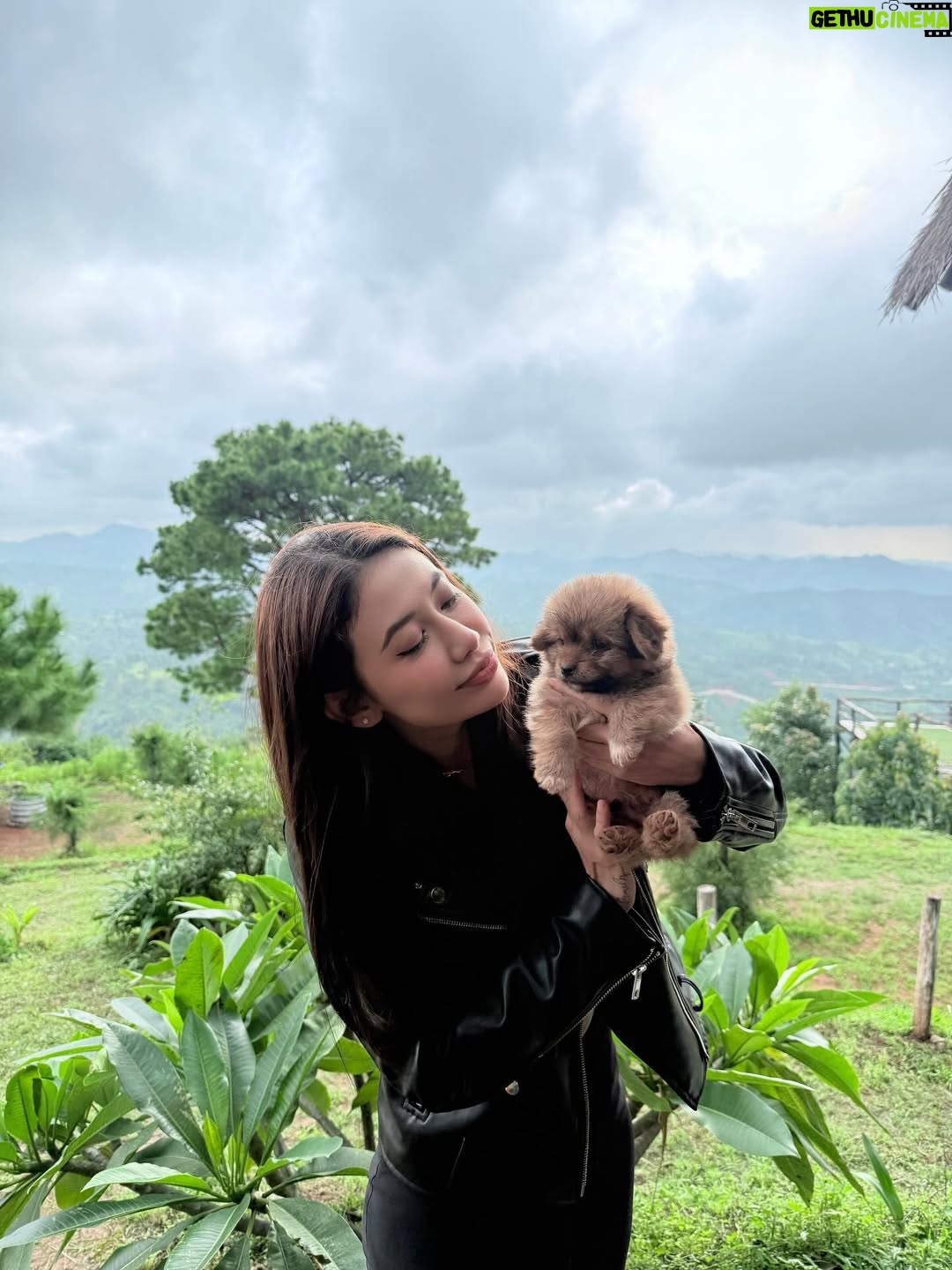 Thinzar Wint Kyaw - 7.8K Likes - Kalaw ❤️ #thinzarwintkyaw👸🏻