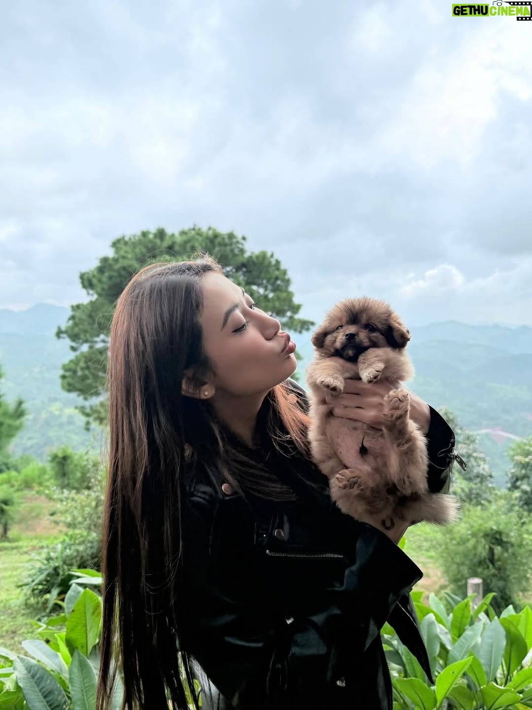 Thinzar Wint Kyaw - 7.8K Likes - Kalaw ❤️ #thinzarwintkyaw👸🏻