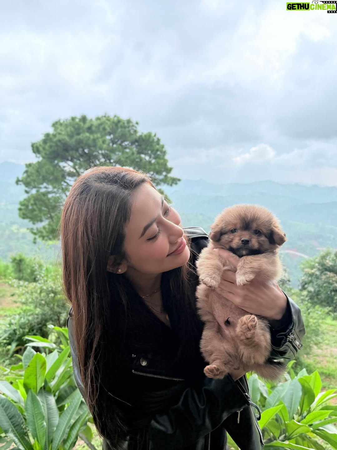 Thinzar Wint Kyaw - 7.8K Likes - Kalaw ❤️ #thinzarwintkyaw👸🏻