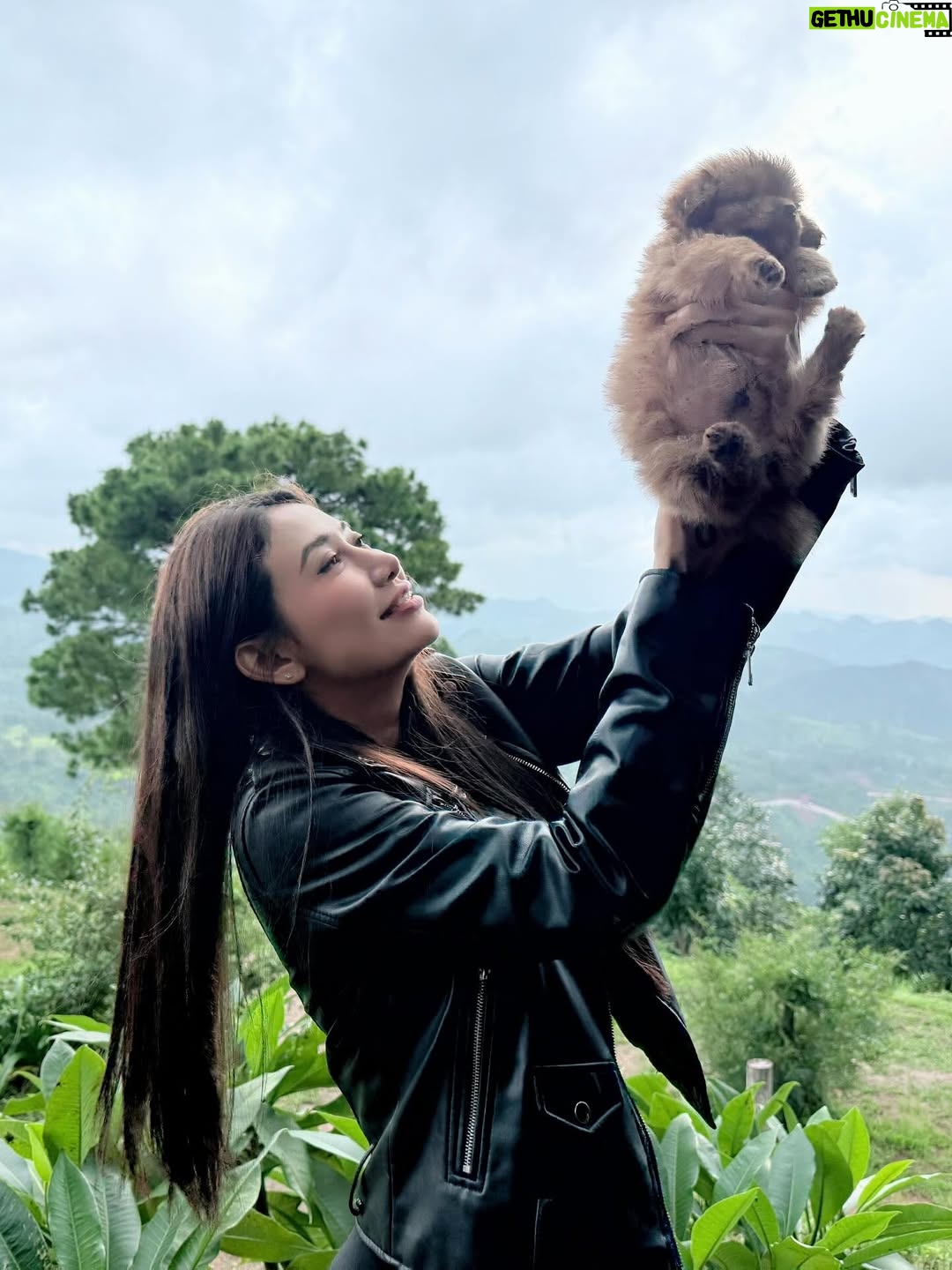 Thinzar Wint Kyaw - 7.8K Likes - Kalaw ❤️ #thinzarwintkyaw👸🏻