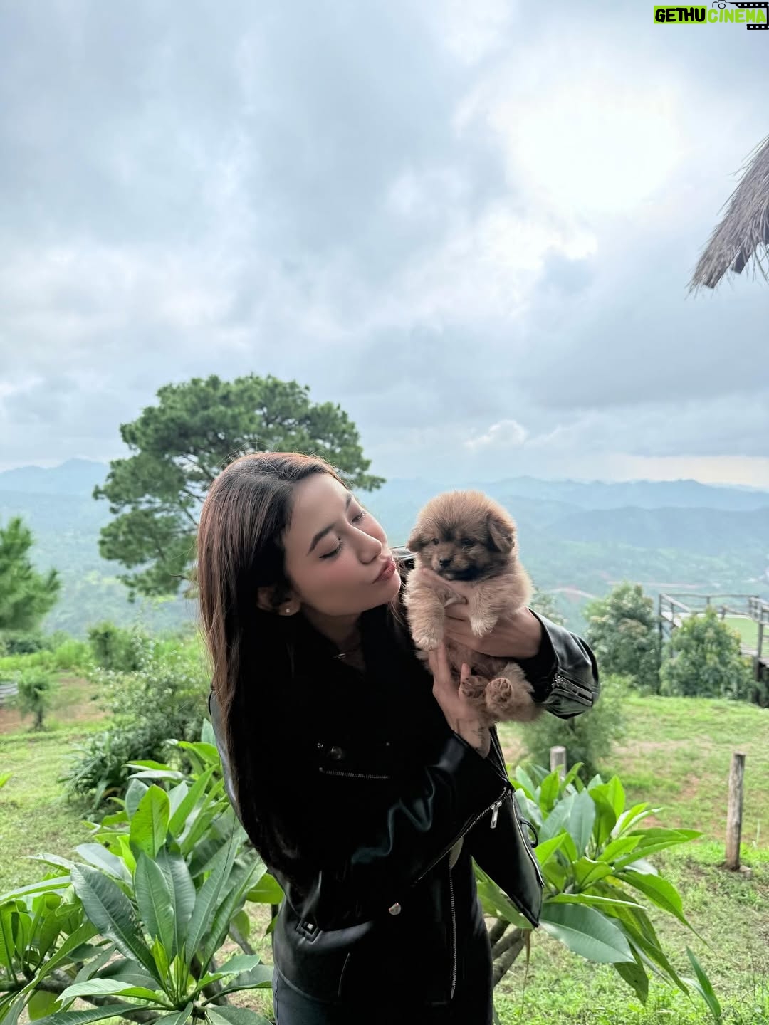 Thinzar Wint Kyaw - 7.8K Likes - Kalaw ❤️ #thinzarwintkyaw👸🏻