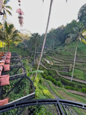 Titi Kamal Instagram - Beautiful Ubud & warm jacuzzi = perfect 💖🍀
.
.
.
#ubud #bali #Indonesia