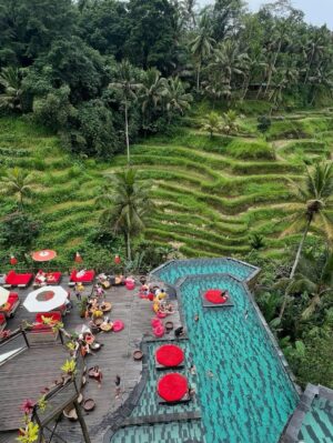 Titi Kamal Instagram - Beautiful Ubud 💖💖💖🍀🍀🍀
.
.
.
#ubud #bali #indonesia #waterfall
