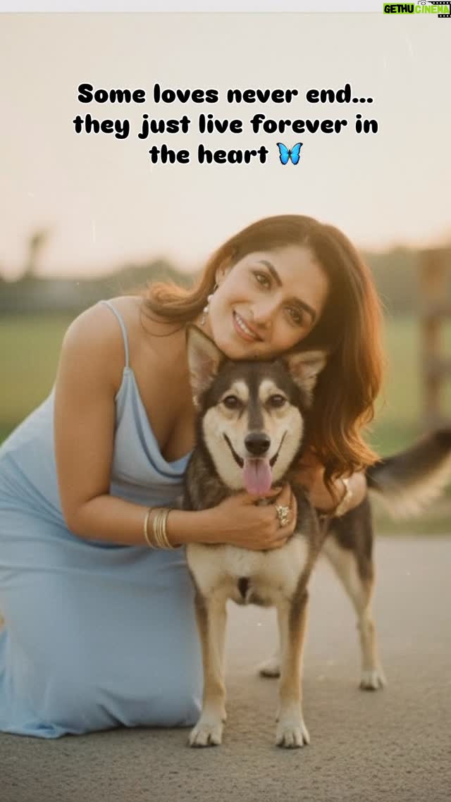 Trishaa Kamlakar - 3 Likes - I lost her too soon in 2021 she is just 2yr old 💔, but every memory, every look in her beautiful eyes stays alive in me.🦋 Titli came into our lives like Magic ✨ Disciplined yet mischievous, naughty yet loving—she was more than a pet, she was our child. My forever butterfly 🦋❤️ Thank you @googlegemini for making the impossible, possible.
Love you forever, my butterfly 🦋✨ 
#ForeverInMyHeart #googlegemini #gemini #trend