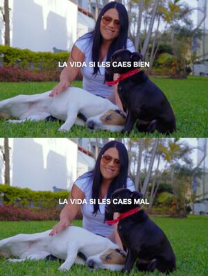Tula Rodríguez Instagram - Con el tiempo aprendí que la vida no se trata de lo que la gente opine de ti.
Siempre habrá quienes aplaudan y quienes critiquen.
Unos verán tus aciertos, otros solo tus errores.

Pero al final, lo único que realmente importa es la paz que sientas contigo misma, la forma en la que decides levantarte y seguir adelante. Porque la vida no se mide en comentarios ajenos, sino en la valentía de vivirla a tu manera. 🌿✨

#ReflexiónDeVida #SéTú #díosesbueno