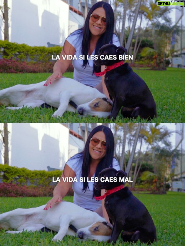 Tula Rodríguez - 451 Likes - Con el tiempo aprendí que la vida no se trata de lo que la gente opine de ti.
Siempre habrá quienes aplaudan y quienes critiquen.
Unos verán tus aciertos, otros solo tus errores.

Pero al final, lo único que realmente importa es la paz que sientas contigo misma, la forma en la que decides levantarte y seguir adelante. Porque la vida no se mide en comentarios ajenos, sino en la valentía de vivirla a tu manera. 🌿✨

#ReflexiónDeVida #SéTú #díosesbueno