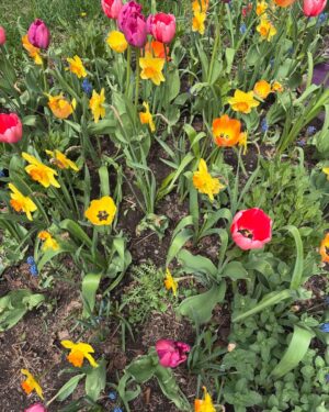 Ulrikke Falch Instagram - April/mai humør 🐞