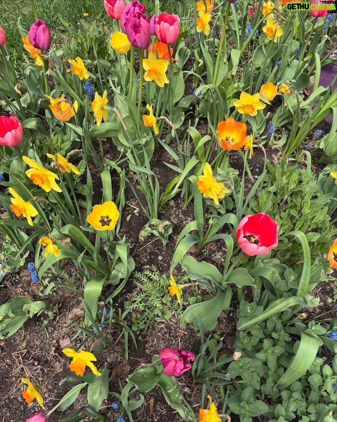 Ulrikke Falch - 3 Likes - April/mai humør 🐞