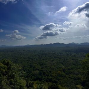 Utkarsha Raturi Instagram - 🌸🌸
.
.
.
.
#travel#travelphotography#travelgram#trending
#srilanka#sigiriya#lionrock#sigiriyarock#fyp#explore#srilankatourism