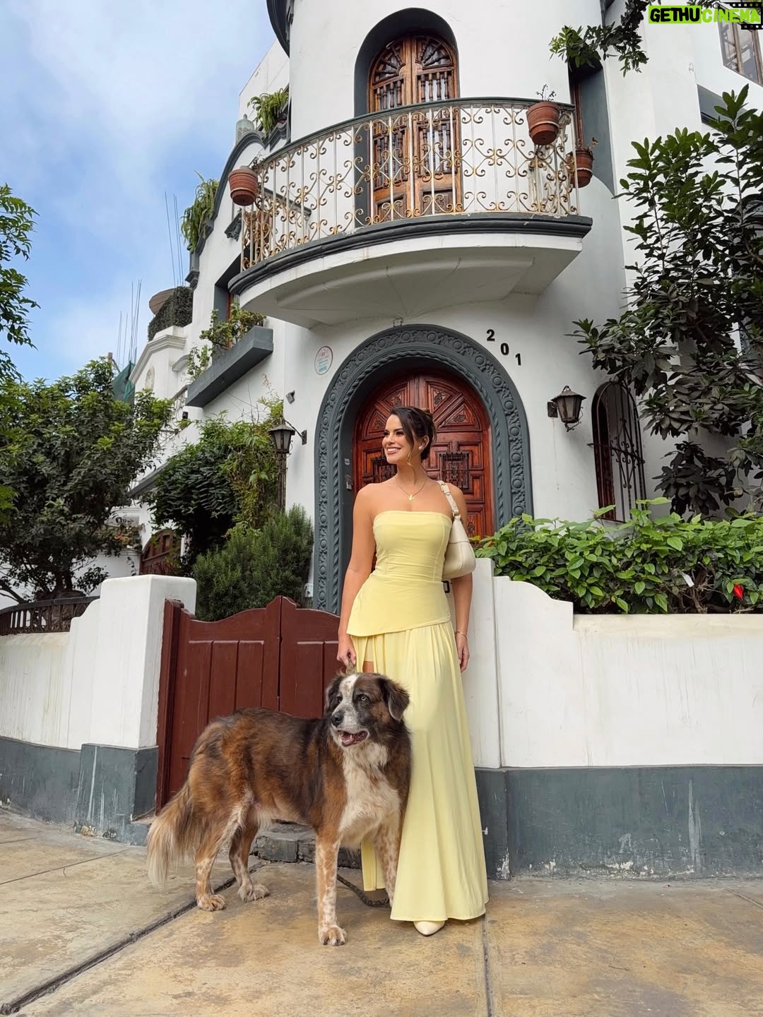 Valeria Piazza - 11.1K Likes - Soul full of Sunshine 🌼🐻🌻🐿️💛