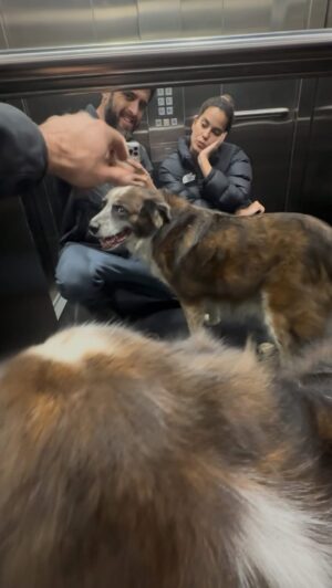 Valeria Piazza Instagram - Hoy fue noche de cita con Vale pero vimos a nuestro viejo con más energía de lo normal y los que tienen un senior saben que eso emociona así que nuestra cita terminó siendo un paseo largo. 
Ojalá fueran eternos.