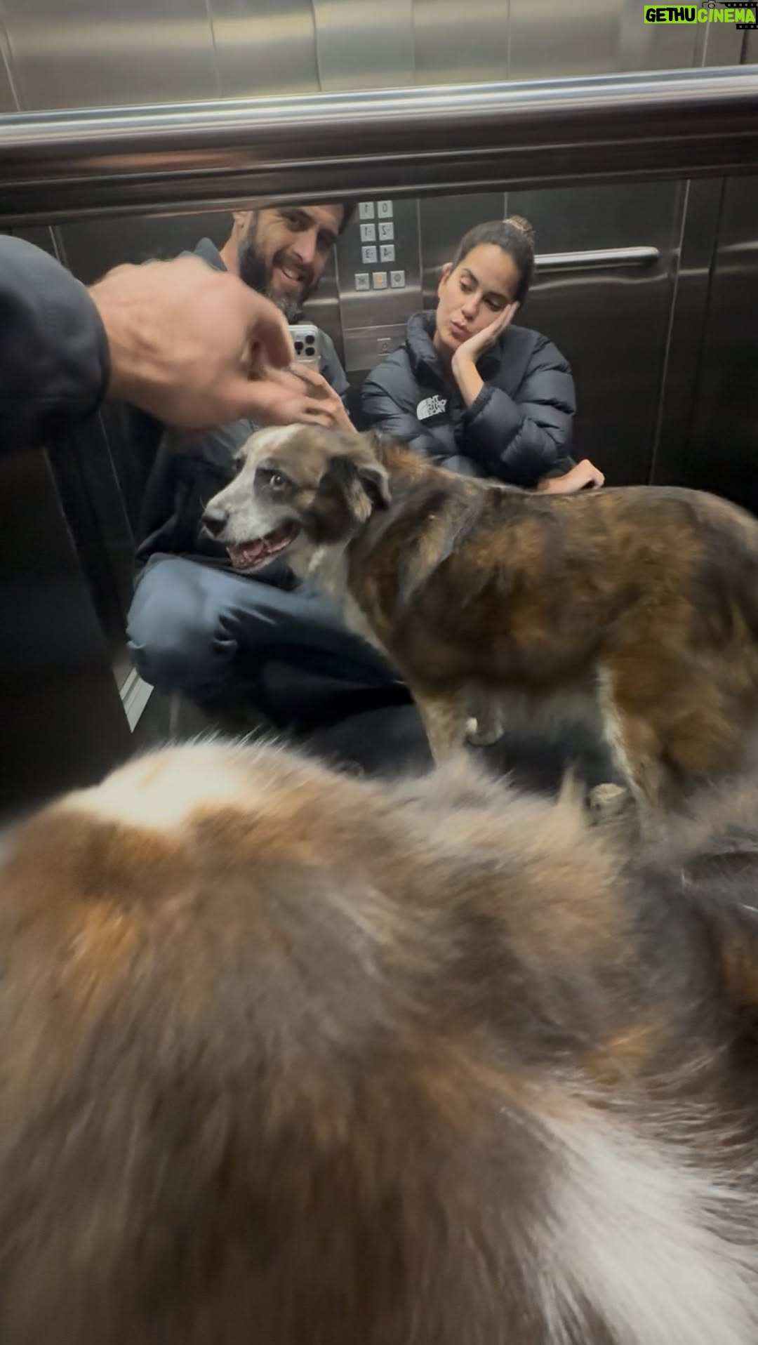 Valeria Piazza - 6.2K Likes - Hoy fue noche de cita con Vale pero vimos a nuestro viejo con más energía de lo normal y los que tienen un senior saben que eso emociona así que nuestra cita terminó siendo un paseo largo. 
Ojalá fueran eternos.