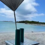 Vanessa Senior