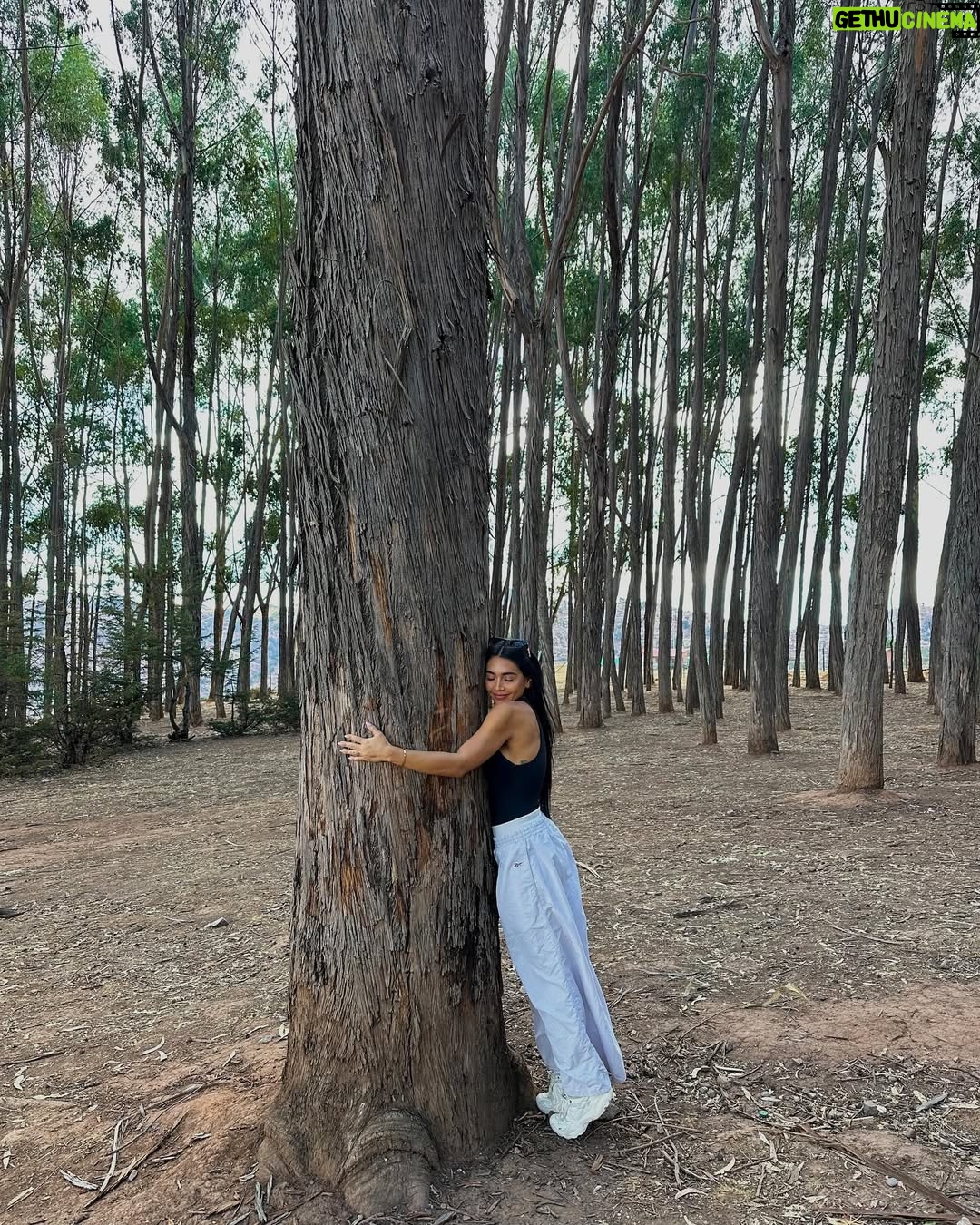Vania Bludau - 29.4K Likes - Unos días de Cusco, siempre es mágico volver a esta ciudad. 🦭✨🫶🏼 (vean el último video y descubran quién me acompañó en el almuerzo 💓)