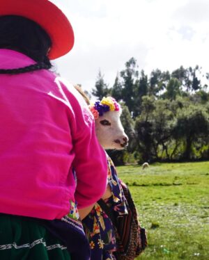 Vania Bludau Instagram - Unos dĆas de Cusco, siempre es mĆ”gico volver a esta ciudad. š¦āØš«¶š¼ (vean el Ćŗltimo video y descubran quiĆ©n me acompañó en el almuerzo š)