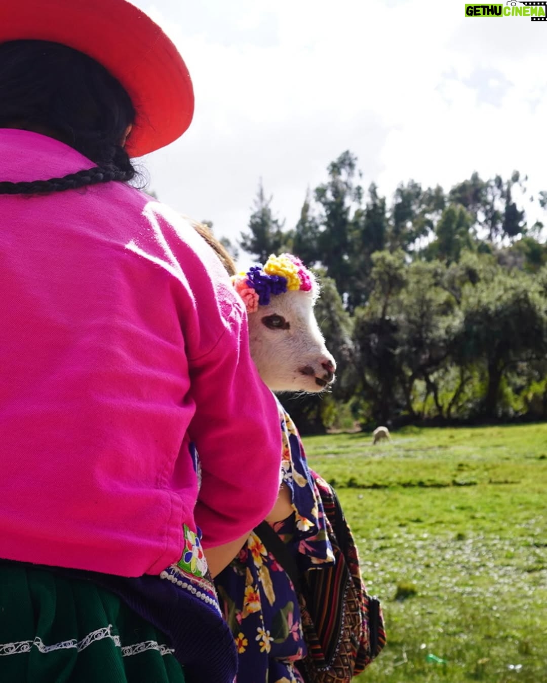 Vania Bludau - 29.4K Likes - Unos días de Cusco, siempre es mágico volver a esta ciudad. 🦭✨🫶🏼 (vean el último video y descubran quién me acompañó en el almuerzo 💓)