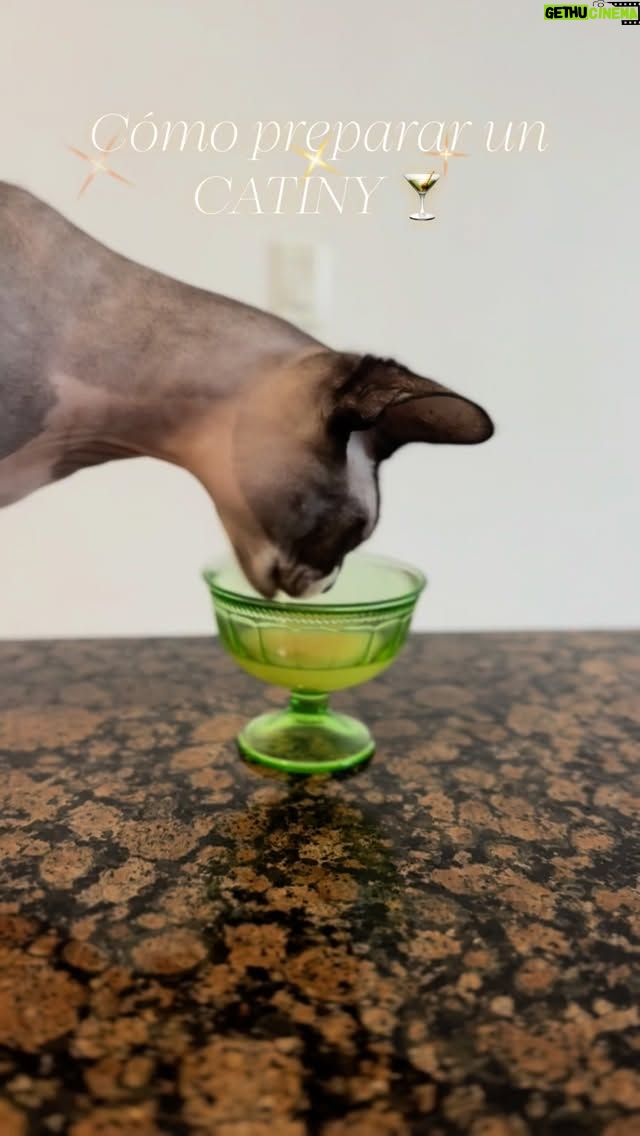 Vero Rodríguez - 214 Likes - 🍸 miau.