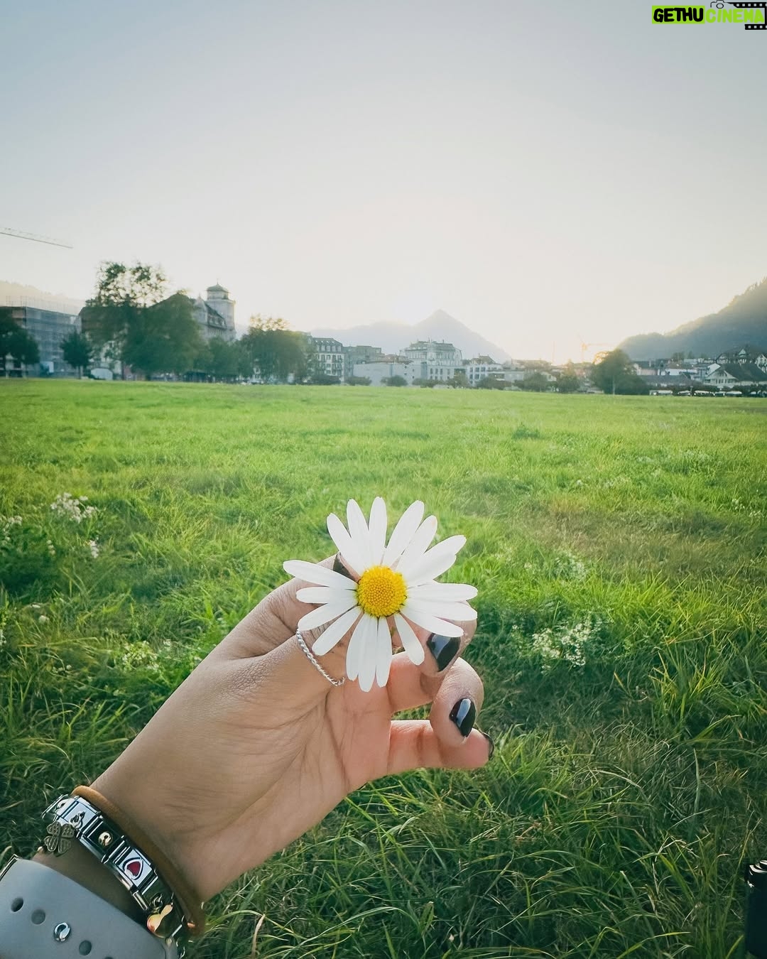 Vitasta Bhat - 45.8K Likes - 🌼 me and the daisy - a love story🌼