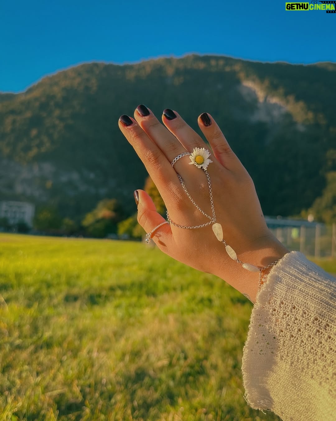 Vitasta Bhat - 45.8K Likes - 🌼 me and the daisy - a love story🌼