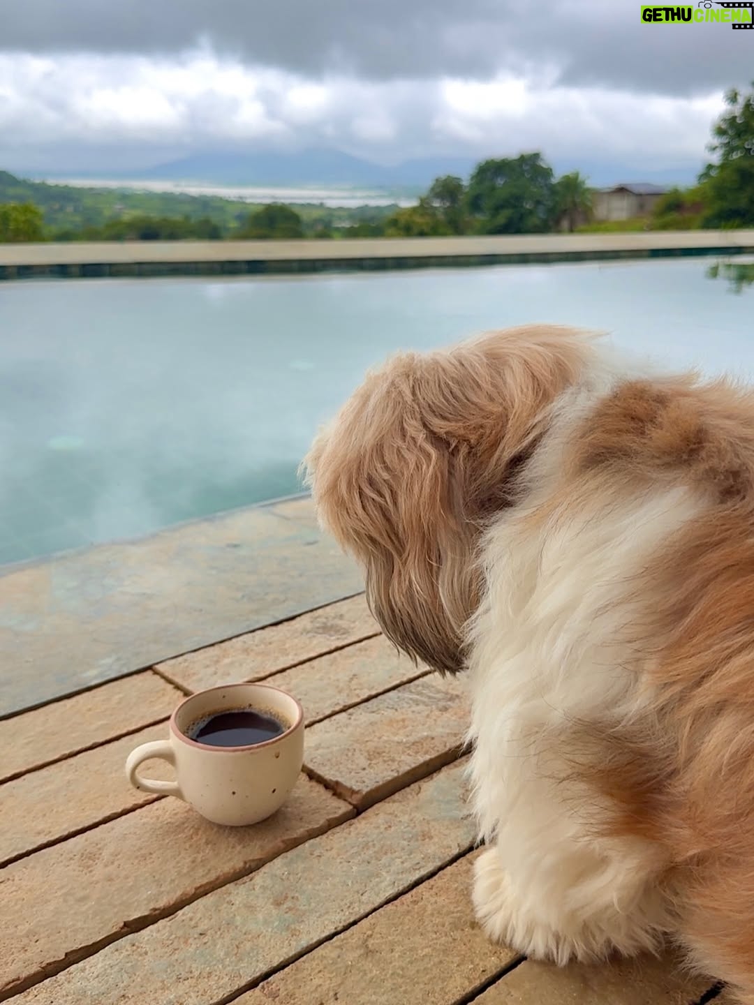 Vrushali Vachhiyat - 8.3K Likes - Snippets from my recent flawless weekend escape ✨👙🪞🏡
.
📍: Ikigai, @saffronstays @saffronstayswithyou 
.
.
(Weekend, weekend trip, weekend getaway, villa, view, weekend villa, saffronstays, igatpuri, nashik, hill view, monsoon feels, infinity pool, aesthetic villa, holiday villa)