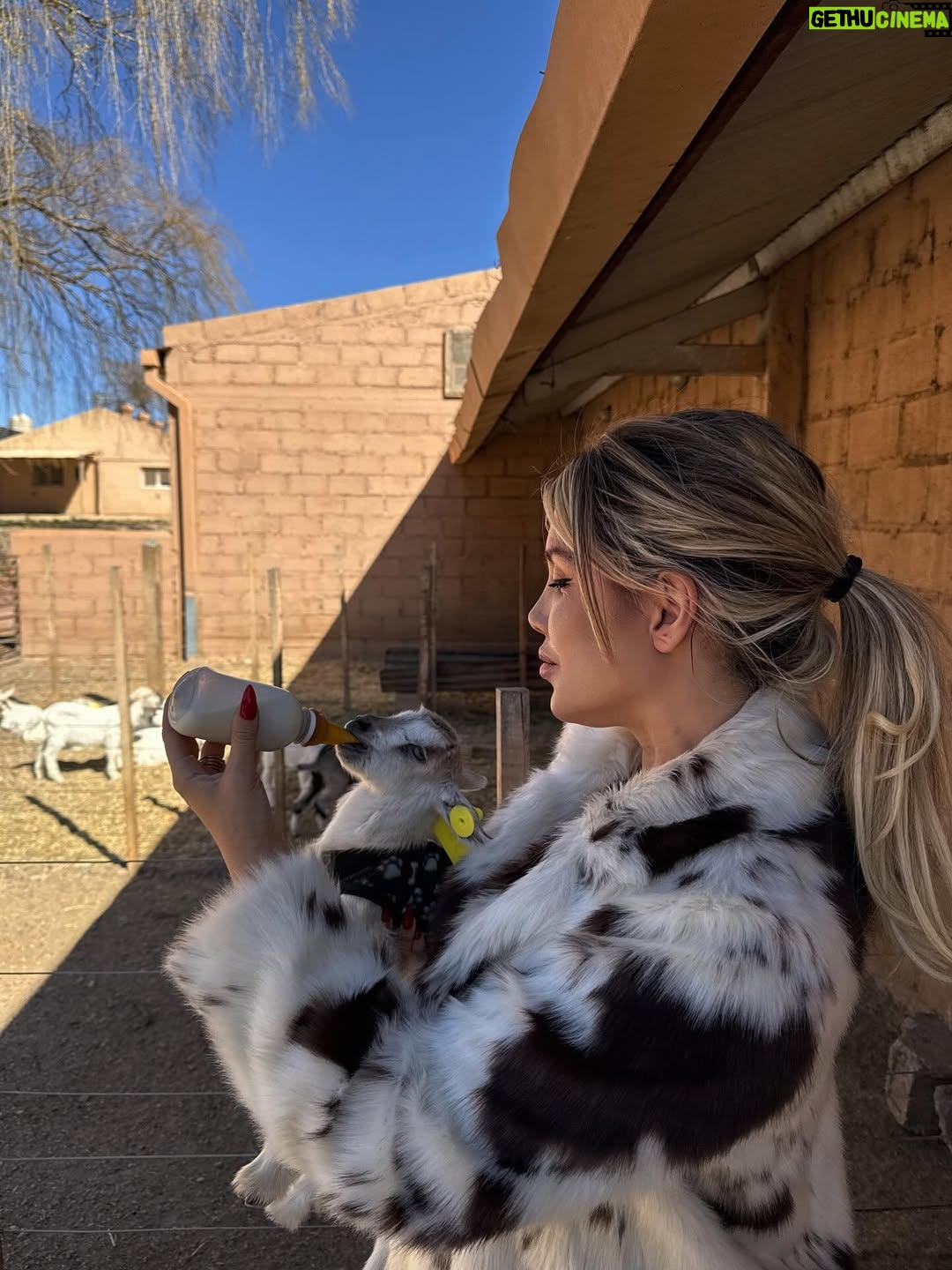 Wanda Nara - 690.2K Likes - Norte Argentino 🌵🐑🧉⛰️🍁⛺️
nuestros días felices … 

@manantialdelsilencio @pristinecamps @visitjujuy