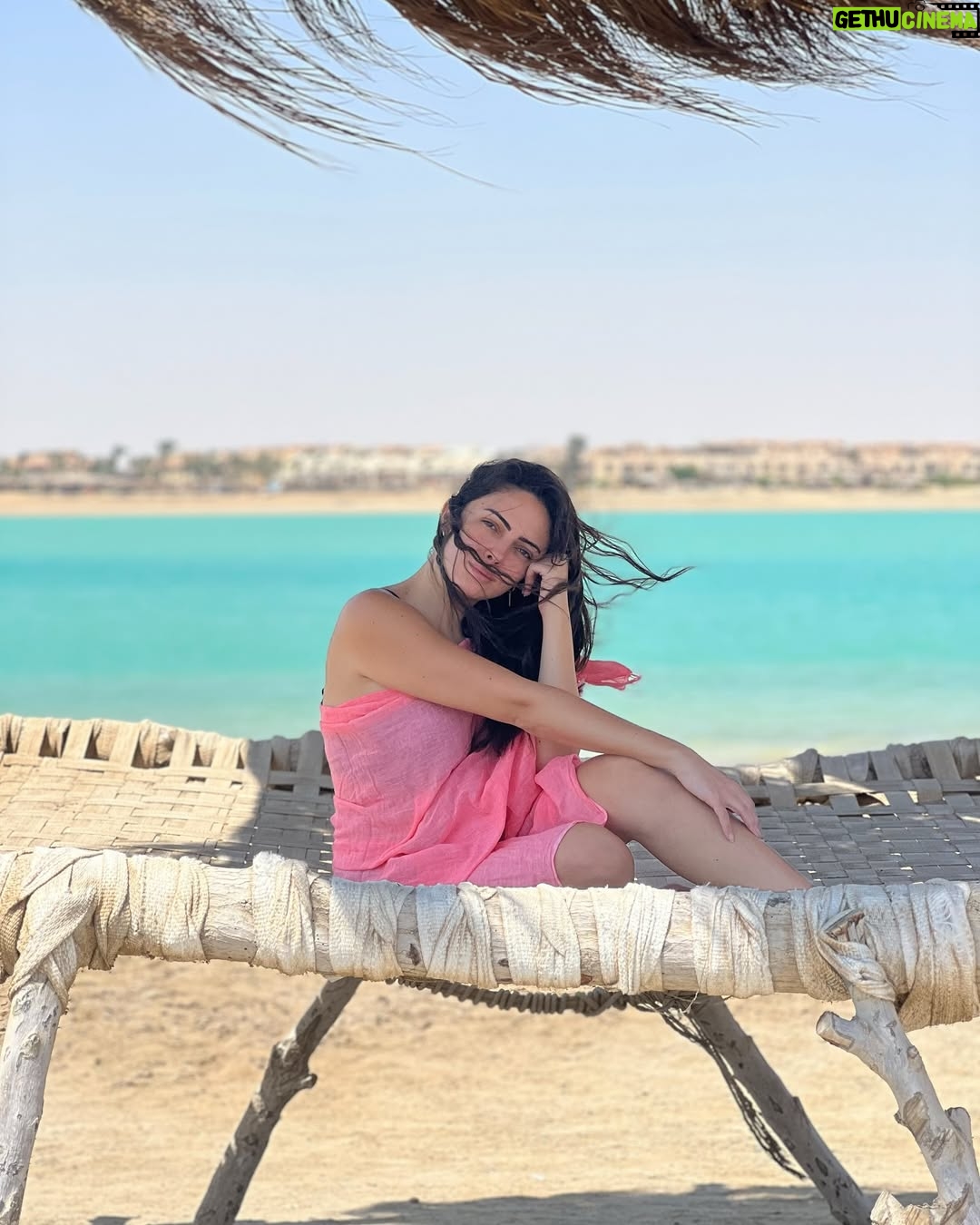 Weaam Magdy - 43.9K Likes - 💕✨