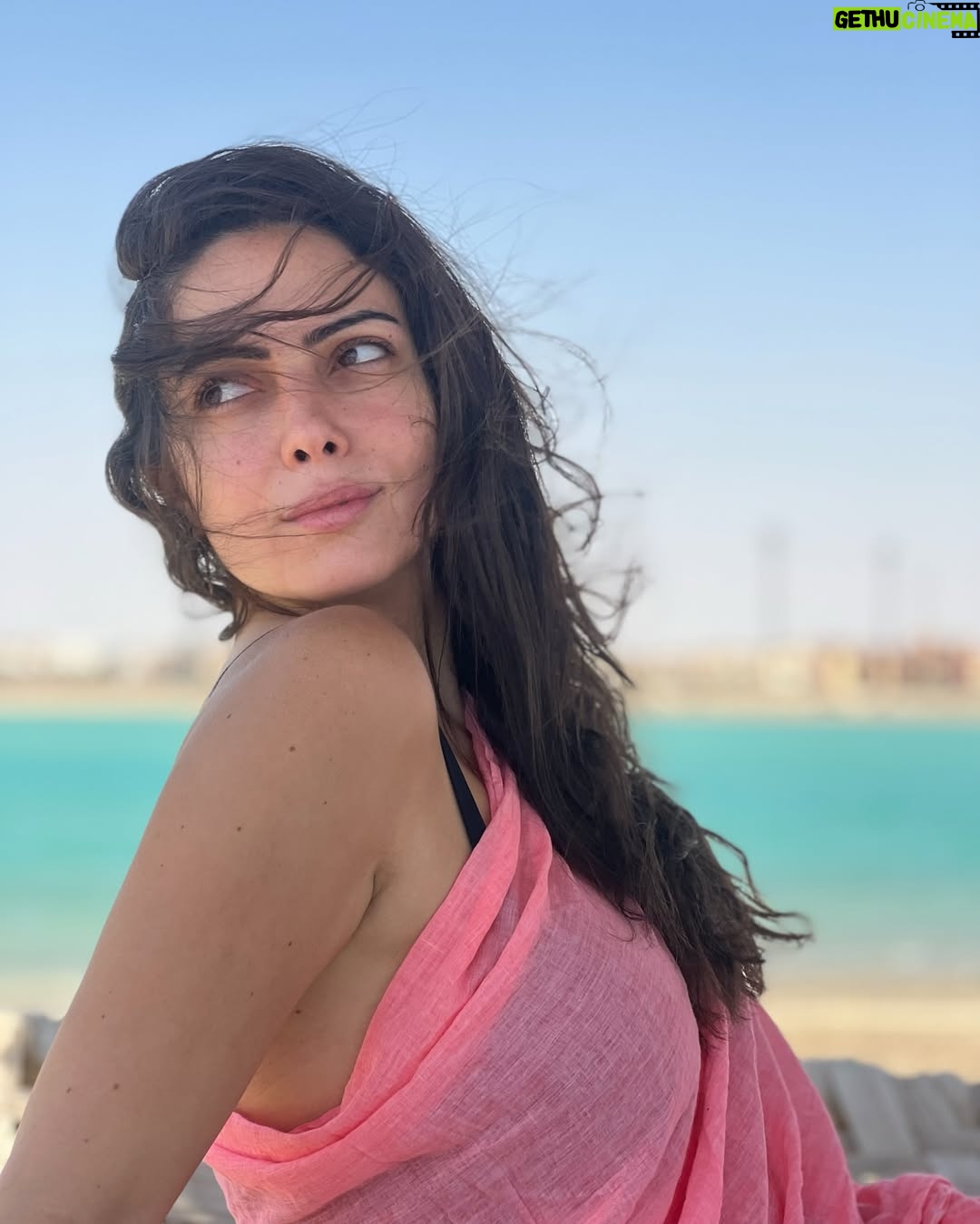 Weaam Magdy - 43.9K Likes - 💕✨