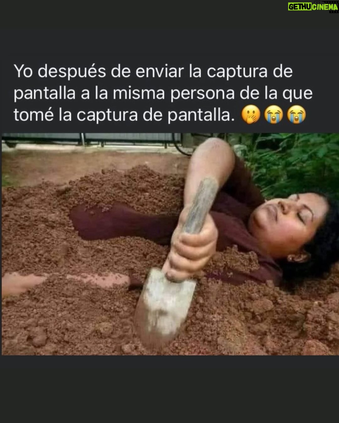Wendy Ramos - 12.8K Likes - Aquí van los últimos 12 memes de mi finísima selección que prometí subir 🩷

#Memes2024 #FelizAño